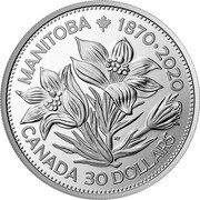 Canada 30 Dollars Manitoba 150 - United in Celebration 2020 RT MANITOBA ML 1870-2020 CANADA 30 DOLLARS coin reverse Canada 30 Dollars Manitoba 150 - United in Celebration 2020 RT MANITOBA ML 1870-2020 CANADA 30 DOLLARS coin reverse