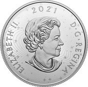 Canada 50 dollars The Solar System 2021 ELIZABETH II 2021 D G REGINA coin obverse Canada 50 dollars The Solar System 2021 ELIZABETH II 2021 D G REGINA coin obverse