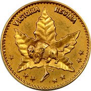 Canada 1/ 2 D (Manitoba gold) X# 11 VICTORIA REGINA S T coin obverse Canada 1/ 2 D (Manitoba gold) X# 11 VICTORIA REGINA S T coin obverse