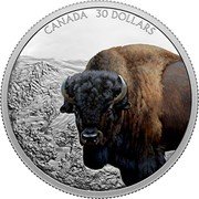 Canada 30 Dollars (Imposing Icons - Bison) CANADA 30 DOLLARS MB coin reverse