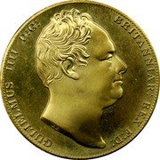 UK Crown (Gulielmus IIII) X# M127f GULIELMUS IIII D G BRITANNIAR REX F D coin obverse