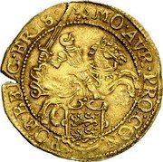 Netherlands Gold Rider 1620 Lion KM# 25 Friesland Province Standard Coinage MO AVR PRO CON FOE BELG FRIS coin obverse Netherlands Gold Rider 1620 Lion KM# 25 Friesland Province Standard Coinage MO AVR PRO CON FOE BELG FRIS coin obverse
