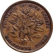 Canada Halfpenny Token Victoria 1856 PROVINCE OF NOVA SCOTIA HALFPENNY TOKEN coin reverse Canada Halfpenny Token Victoria 1856 PROVINCE OF NOVA SCOTIA HALFPENNY TOKEN coin reverse