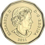 Canada 1 Dollar (Holiday Gift Arms in mittens) CANADA DOLLAR 2021 TB coin reverse