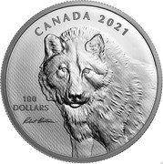 Canada 100 Dollars Wolf Sketch by Robert Bateman 2021 100 DOLLARS CANADA 2021 coin reverse Canada 100 Dollars Wolf Sketch by Robert Bateman 2021 100 DOLLARS CANADA 2021 coin reverse