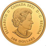 Canada 200 Dollars (125th Anniversary of the Klondike Gold Rush) ELIZABETH II CANADA 2021 D G REGINA 200 DOLLARS coin obverse Canada 200 Dollars (125th Anniversary of the Klondike Gold Rush) ELIZABETH II CANADA 2021 D G REGINA 200 DOLLARS coin obverse