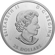Canada 25 Dollars Bold Bison 2021 ELIZABETH II D G REGINA 25 DOLLARS SB coin obverse Canada 25 Dollars Bold Bison 2021 ELIZABETH II D G REGINA 25 DOLLARS SB coin obverse