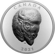 Canada 25 Dollars Bold Bison 2021 CANADA 2021 coin reverse Canada 25 Dollars Bold Bison 2021 CANADA 2021 coin reverse