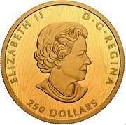 Canada 250 Dollars Bold Bison 2021 ELIZABETH II D G REGINA 250 DOLLARS coin obverse Canada 250 Dollars Bold Bison 2021 ELIZABETH II D G REGINA 250 DOLLARS coin obverse