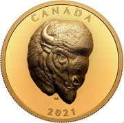 Canada 250 Dollars Bold Bison 2021 CANADA 2021 DW coin reverse Canada 250 Dollars Bold Bison 2021 CANADA 2021 DW coin reverse