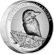 Australia 8 Dollars Kookaburra 2021 P AUSTRALIAN KOOKABURRA 2021 5 OZ 9999 SILVER AH P coin reverse