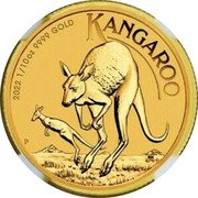 Australia 15 Dollars Elizabeth II -Kangaroo 2022 P KANGAROO 2022 1/10 OZ 9999 GOLD P coin reverse