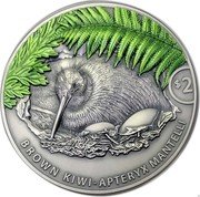New Zealand 2 Dollars (Kiwi) $2 BROWN KIWI - APTERIX MANTELLI coin reverse New Zealand 2 Dollars (Kiwi) $2 BROWN KIWI - APTERIX MANTELLI coin reverse