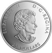 Canada 20 Dollars A Wreath of Remembrance (Lest We Forget) 2021 ELIZABETH II D G REGINA 20 DOLLARS SB coin obverse Canada 20 Dollars A Wreath of Remembrance (Lest We Forget) 2021 ELIZABETH II D G REGINA 20 DOLLARS SB coin obverse