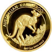 Australia 200 Dollars (- Elizabeth II - Kangaroo) AUSTRALIAN KANGAROO P 2017 2OZ 9999 GOLD coin reverse