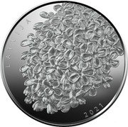 Latvia 5 Euro (Coin of Luck) LATVIA 2021 coin reverse Latvia 5 Euro (Coin of Luck) LATVIA 2021 coin reverse