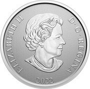 Canada 50 Cents (Canadian Pacific Holiday Train) ELIZABETH II D G REGINA 2022 SB coin obverse Canada 50 Cents (Canadian Pacific Holiday Train) ELIZABETH II D G REGINA 2022 SB coin obverse