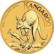 Australia 50 Dollars Elizabeth II - Kangaroo 2022 P BU KANGAROO 2022 1/2OZ 9999 GOLD P NH coin reverse Australia 50 Dollars Elizabeth II - Kangaroo 2022 P BU KANGAROO 2022 1/2OZ 9999 GOLD P NH coin reverse