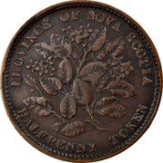 Canada Half Penny Token (Victoria) PROVINCE OF NOVA SCOTIA HALF PENNY TOKEN coin reverse Canada Half Penny Token (Victoria) PROVINCE OF NOVA SCOTIA HALF PENNY TOKEN coin reverse