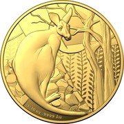 Australia 10 Dollars (Elizabeth II 6th Portrait Kangaroo) AS 1/10 OZ .9999 AU coin reverse Australia 10 Dollars (Elizabeth II 6th Portrait Kangaroo) AS 1/10 OZ .9999 AU coin reverse