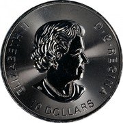 Canada 10 Dollars Elizabeth II Twin Maple leaves 2020 ELIZABETH II D G REGINA SB 10 DOLLARS 2020 coin obverse Canada 10 Dollars Elizabeth II Twin Maple leaves 2020 ELIZABETH II D G REGINA SB 10 DOLLARS 2020 coin obverse