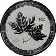 Canada 10 Dollars Elizabeth II Twin Maple leaves 2020 CANADA 2020 CG 9999 FINE SILVER 2 OZ ARGENT PUR 9999 coin reverse Canada 10 Dollars Elizabeth II Twin Maple leaves 2020 CANADA 2020 CG 9999 FINE SILVER 2 OZ ARGENT PUR 9999 coin reverse