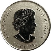 Canada 2 Dollars (Animal Portrait - Owl) 2 DOLLARSELIZ / ABETH II D G REGINA coin obverse Canada 2 Dollars (Animal Portrait - Owl) 2 DOLLARSELIZ / ABETH II D G REGINA coin obverse