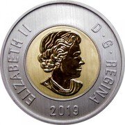 Canada 2 Dollars Elizabeth II. Bear 2021  ELIZABETH II D. G. REGINA 2021 coin obverse Canada 2 Dollars Elizabeth II. Bear 2021  ELIZABETH II D. G. REGINA 2021 coin obverse