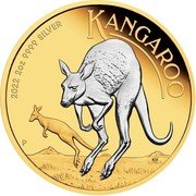 Australia 2 Dollars Kangaroo 2022 P NH P KANGAROO 2022 2OZ 9999 SILVER coin reverse Australia 2 Dollars Kangaroo 2022 P NH P KANGAROO 2022 2OZ 9999 SILVER coin reverse