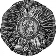 Canada 20 Dollars Remembrance day 2020  (fr) fini antique ELIZABETH II CANADA 2020 D.G. REGINA 20 DOLLARS coin obverse Canada 20 Dollars Remembrance day 2020  (fr) fini antique ELIZABETH II CANADA 2020 D.G. REGINA 20 DOLLARS coin obverse