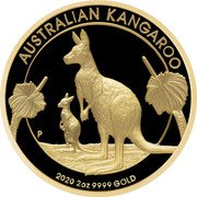 Australia 200 Dollars Kangaroo with its Cub 2020 AUSTRALIAN KANGAROO 2020 2 OZ 9999 GOLD coin reverse Australia 200 Dollars Kangaroo with its Cub 2020 AUSTRALIAN KANGAROO 2020 2 OZ 9999 GOLD coin reverse
