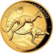 Australia 200 Dollars Kangaroo High Relief 2018 AUSTRALIAN KANGAROO 2018 2 OZ 9999 GOLD coin reverse Australia 200 Dollars Kangaroo High Relief 2018 AUSTRALIAN KANGAROO 2018 2 OZ 9999 GOLD coin reverse