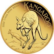 Australia 25 Dollars Kangaroo Elizabeth II 2022 2022 1/4 OZ 9999 GOLD KANGAROO P coin reverse Australia 25 Dollars Kangaroo Elizabeth II 2022 2022 1/4 OZ 9999 GOLD KANGAROO P coin reverse