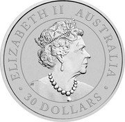 Australia 30 Dollars Elizabeth II 6th Portrait - Australian Koala 2020 P BU ELIZABETH II AUSTRALIA 30 DOLLARS coin obverse Australia 30 Dollars Elizabeth II 6th Portrait - Australian Koala 2020 P BU ELIZABETH II AUSTRALIA 30 DOLLARS coin obverse