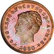 USA 4 Dollars (Stella Pattern) 6 G .3 S 7 C 7 G R A M S LIBERTY 1880 coin obverse USA 4 Dollars (Stella Pattern) 6 G .3 S 7 C 7 G R A M S LIBERTY 1880 coin obverse
