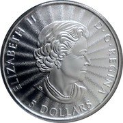 Canada 5 Dollars The Majestic Polar Bear 2022  Bullion with sunburst finish (vivid radial lines) ELIZABETH II D G REGINA 5 DOLLARS coin obverse Canada 5 Dollars The Majestic Polar Bear 2022  Bullion with sunburst finish (vivid radial lines) ELIZABETH II D G REGINA 5 DOLLARS coin obverse