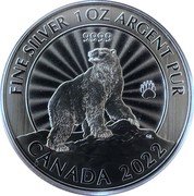 Canada 5 Dollars The Majestic Polar Bear 2022  Bullion with sunburst finish (vivid radial lines) FINE SILVER 1OZ ARGENT PUR 9999 CANADA 2022 coin reverse Canada 5 Dollars The Majestic Polar Bear 2022  Bullion with sunburst finish (vivid radial lines) FINE SILVER 1OZ ARGENT PUR 9999 CANADA 2022 coin reverse