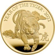 UK 8000 Pounds (Year of the Tiger) YEAR OF THE TIGER · 2022 DL 虎 coin reverse UK 8000 Pounds (Year of the Tiger) YEAR OF THE TIGER · 2022 DL 虎 coin reverse