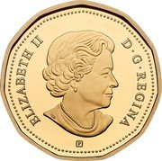 Canada Dollar (Common Loon) ELIZABETH II D∙G∙REGINA P coin obverse