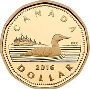 Canada Dollar (Common Loon) CANADA 2016 DOLLAR RRC coin reverse