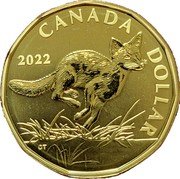 Canada Dollar Queen Elizabeth II Swift Fox 2022  (fr) spécimen CANADA DOLLAR 2022 CT coin reverse Canada Dollar Queen Elizabeth II Swift Fox 2022  (fr) spécimen CANADA DOLLAR 2022 CT coin reverse