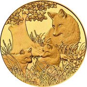 Austria 100 Euro Wildlife in our sights - Fox 2016 Proof KM# 3259 coin reverse Austria 100 Euro Wildlife in our sights - Fox 2016 Proof KM# 3259 coin reverse