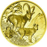 Austria 100 Euro Wildlife in our sights - Alpinus 2017 Proof KM# 3274 coin reverse Austria 100 Euro Wildlife in our sights - Alpinus 2017 Proof KM# 3274 coin reverse