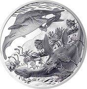 Austria 20 Euro Prehistoric Life - Triassic - Life in the Water 2013 Proof KM# 3220 coin reverse Austria 20 Euro Prehistoric Life - Triassic - Life in the Water 2013 Proof KM# 3220 coin reverse