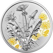Austria 10 Euro (Flower language Dandelion yellow)  coin reverse Austria 10 Euro (Flower language Dandelion yellow)  coin reverse