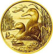 Austria 100 Euro (Mallard duck)  coin reverse Austria 100 Euro (Mallard duck)  coin reverse