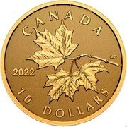 Canada 10 Dollars Everlasting Maple Leaf 2022 MG 2022 CANADA 10 DOLLARS coin reverse Canada 10 Dollars Everlasting Maple Leaf 2022 MG 2022 CANADA 10 DOLLARS coin reverse