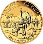 Australia 100 Dollars Emu 2021 P Proof 1 OZ 9999 GOLD 2021 AUSTRALIAN EMU coin reverse Australia 100 Dollars Emu 2021 P Proof 1 OZ 9999 GOLD 2021 AUSTRALIAN EMU coin reverse