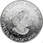 Canada 2,500 Dollars The Ultimate - Mintage 1 2021 ELIZABETH II CANADA 2021 D∙G∙REGINA 2500 DOLLARS coin obverse Canada 2,500 Dollars The Ultimate - Mintage 1 2021 ELIZABETH II CANADA 2021 D∙G∙REGINA 2500 DOLLARS coin obverse