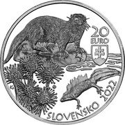Slovakia 20 Euro Kysuce Protected Landscape Area 2022 SLOVENSKO 2022 20 EURO KL MK coin obverse